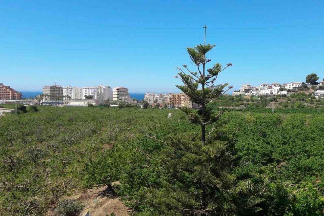 Almuñécar Apartamento Costa Del Sol מראה חיצוני תמונה